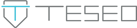 Logo di Teseo